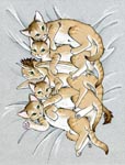 kittens